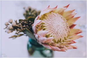 keswick-vineyard-wedding_061