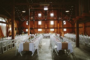Schmidt Wedding - Alicia White Photography-1056