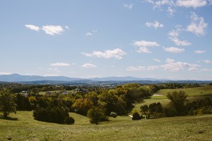 Schmidt Wedding - Alicia White Photography-57