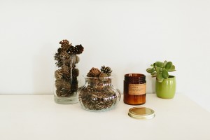 Asheville Family Photographer - Alicia White Photography-13 copy